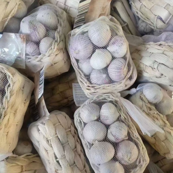 大蒜定制礼盒